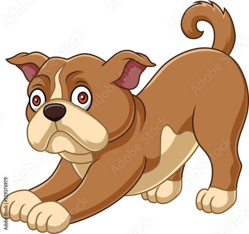 Cartoon cute bulldog on white background