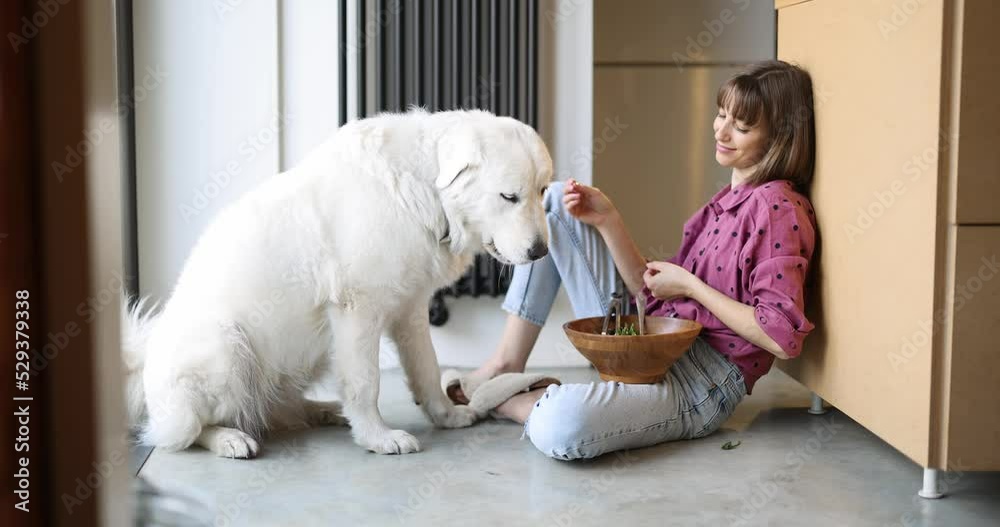 Young woman eating salad and feeding her huge adorable white dog while sitting on the floor at home. Healthy food and friendship with pet concept Young woman eating salad and feeding her huge adorable white dog while sitting on the floor at home. Healthy food and friendship with pet concept