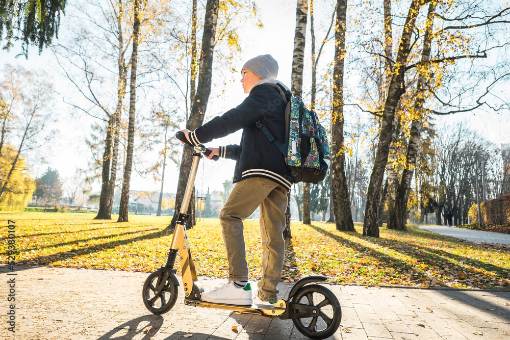 Child riding scooter in the park. Boy riding scooter to school on autumn sunny day.
Child riding scooter in the park. Boy riding scooter to school on autumn sunny day.