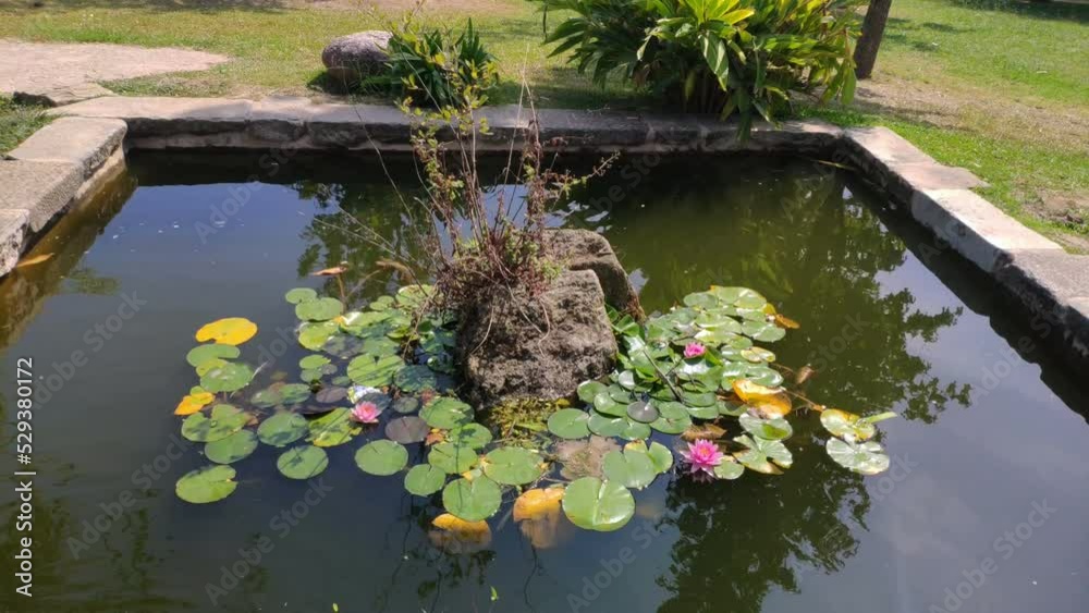 Garden pond with ferns and aquatic plants that are born from the rocks in the center, sunny summer day. Tiro bloque, Sanxenxo, Pontevedra, Galicia, Spain