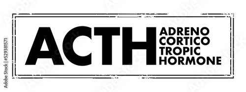 ACTH Adrenocorticotropic hormone - polypeptide tropic hormone produced by and secreted by the anterior pituitary gland, acronym text concept stamp