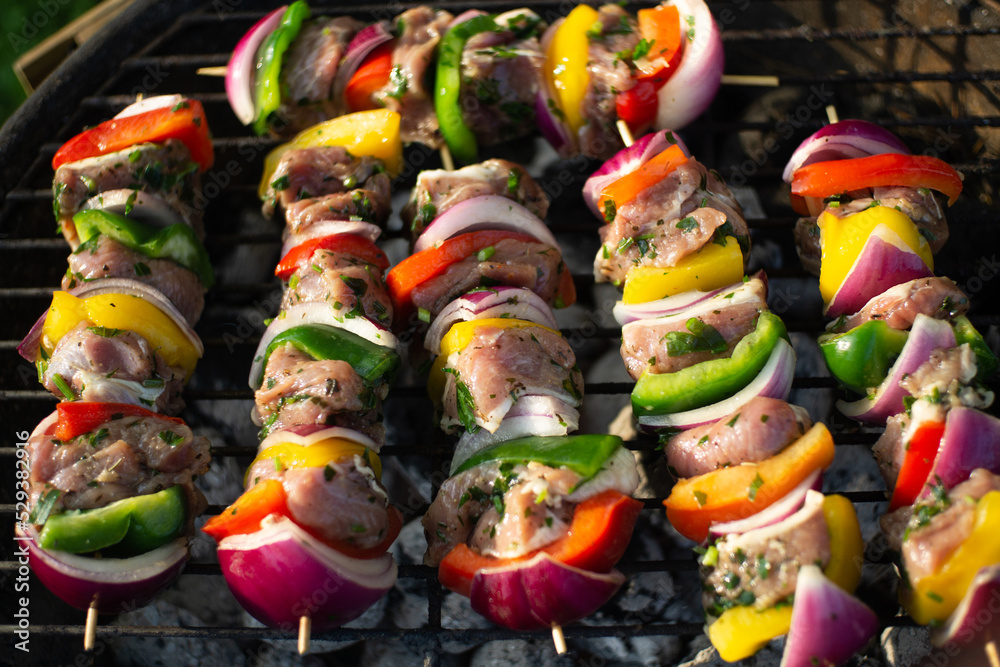 Shashlik barbecue. Wooden sticks with vegetable and meat. Chicken, pork, onion and bell pepper slices. Grilling food on a picnic. BBQ while camping with friends background. Family dinner outdoor.