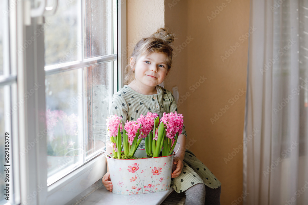 Little toddler girl sitting by window with blossoming pink hyacinth flowers. Happy child, indoors. Mother's day, valentine's day or birthday and spring concept. Little toddler girl sitting by window with blossoming pink hyacinth flowers. Happy child, indoors. Mother's day, valentine's day or birthday and spring concept.
