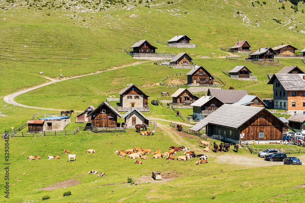 Small village in the Carnic Alps with herd of dairy cows and horses. Mountain peak of Osternig or Oisternig, Italy-Austria Border. Feistritz an der Gail municipality, Carinthia, Austria, Europe.