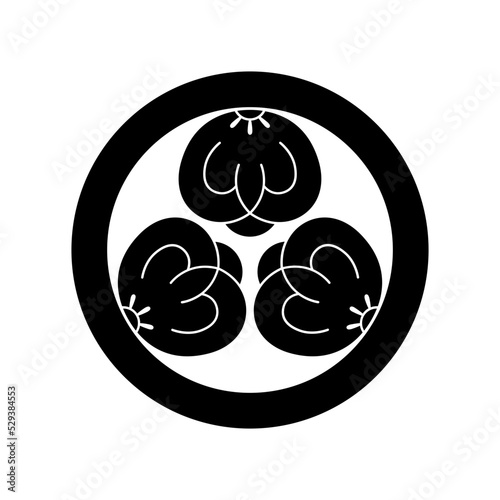 茶の實紋 / 茶の実紋・丸に葉無し茶の實（まるにはなしちゃのみ）/ 丸に葉無し三つ茶の實（まるにはなしみつちゃのみ）