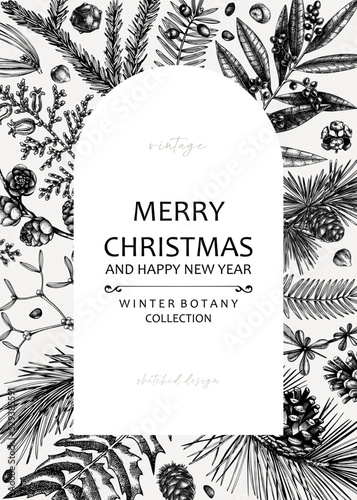 Merry Christmas card. Square frame with evergreen plants, conifers, and nuts drawing. Winter design with hand-drawn botanical illustrations. Christmas background, New Year invitation template