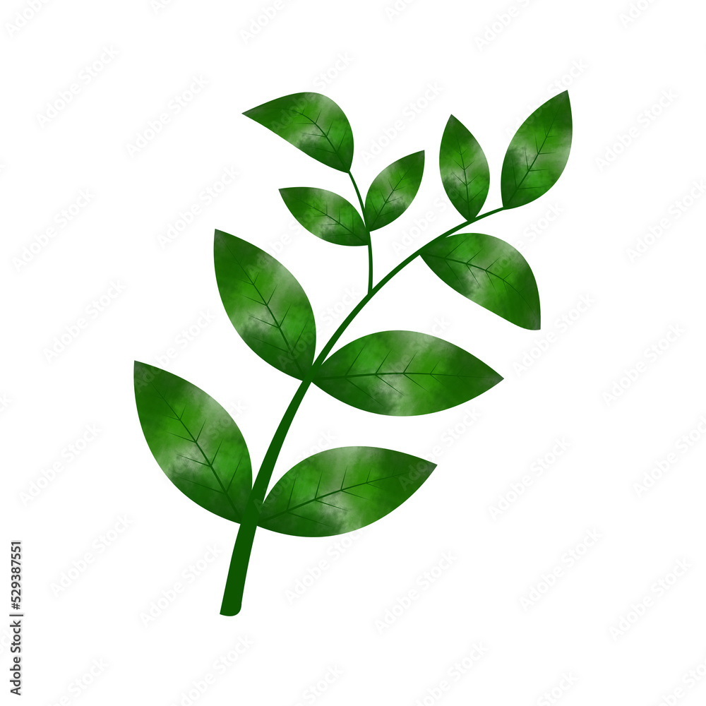Obraz premium Leaves Clip art Design, can be used this design to print on greeting cards, frames, mugs, shopping bags etc. whatever you want.