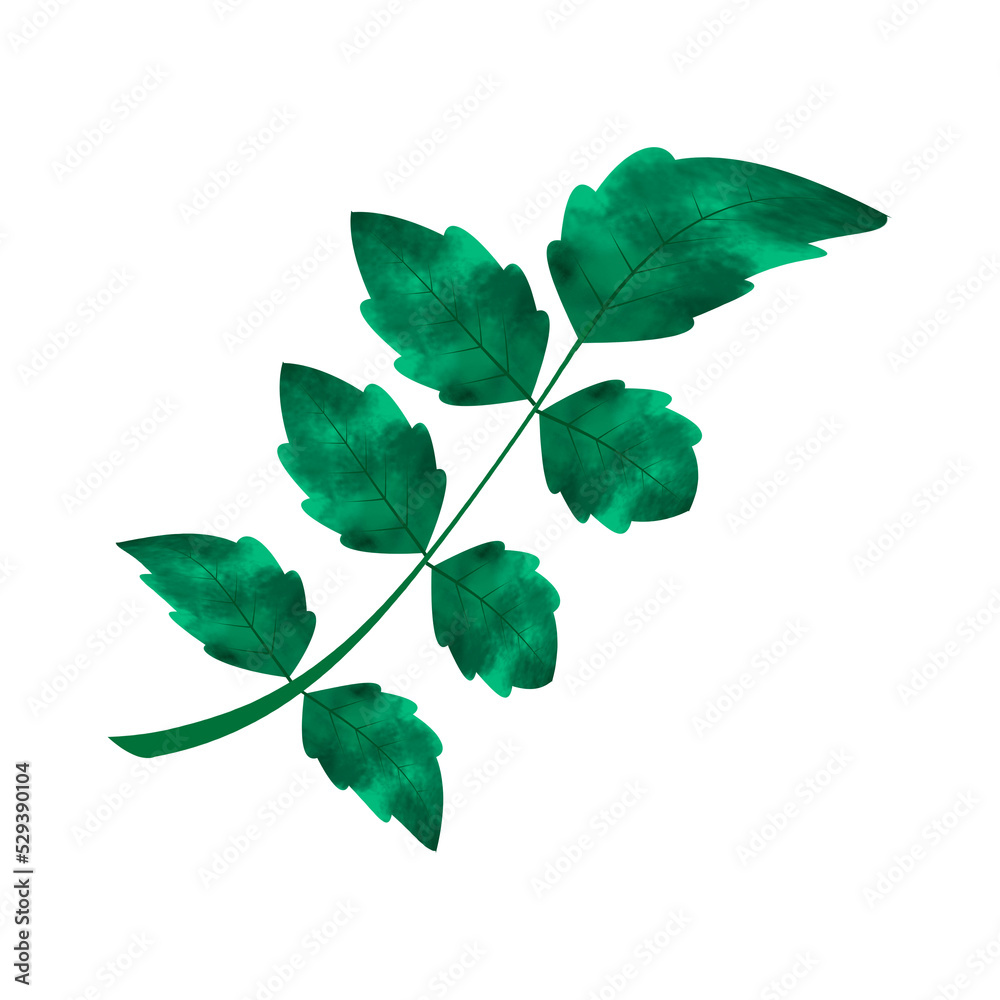 Leaves Clip art Design, can be used this design to print on greeting cards, frames, mugs, 
shopping bags etc. whatever you want.
