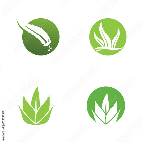 aloe vera logo design vector illustration template