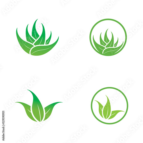 aloe vera logo design vector illustration template