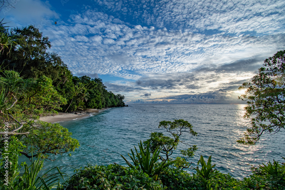 Beautiful tropical beach, trees and turquoise ocean view, Angaur island, Palau, Pacific