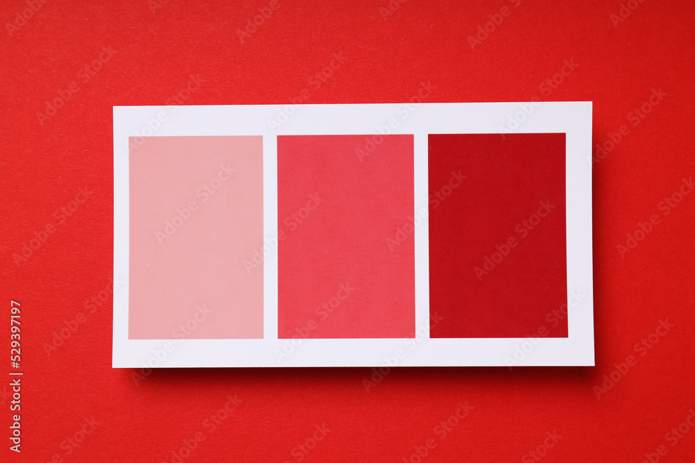 A Row of Colors Top main image 0
