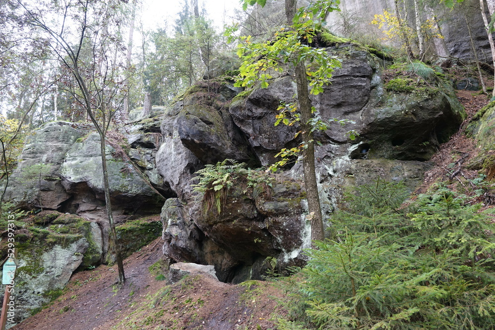 Obraz premium Felsen bei Hohnstein in Sachsen