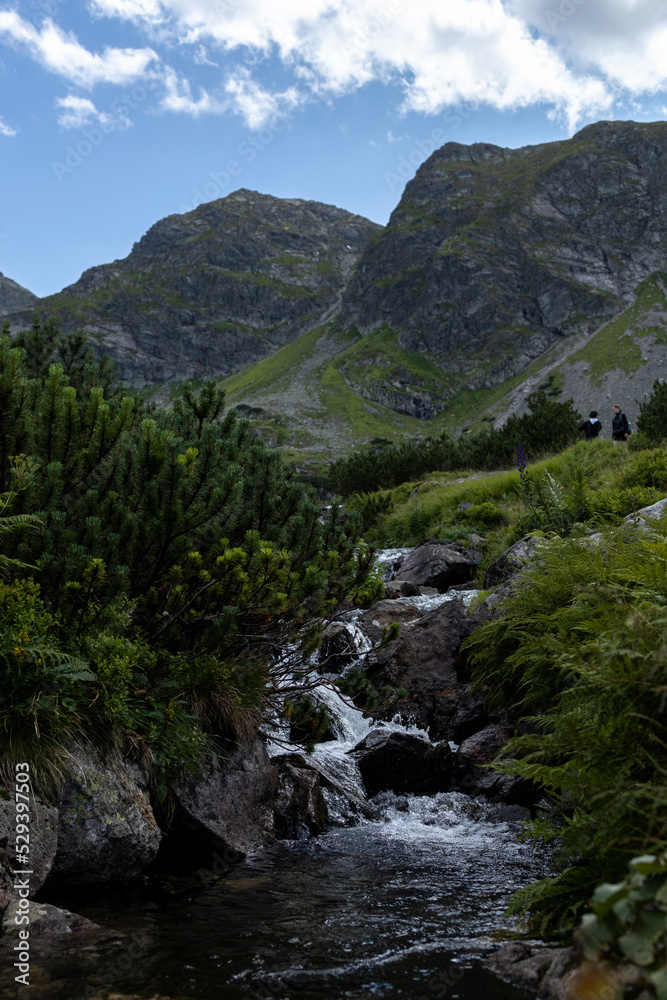 Tatry