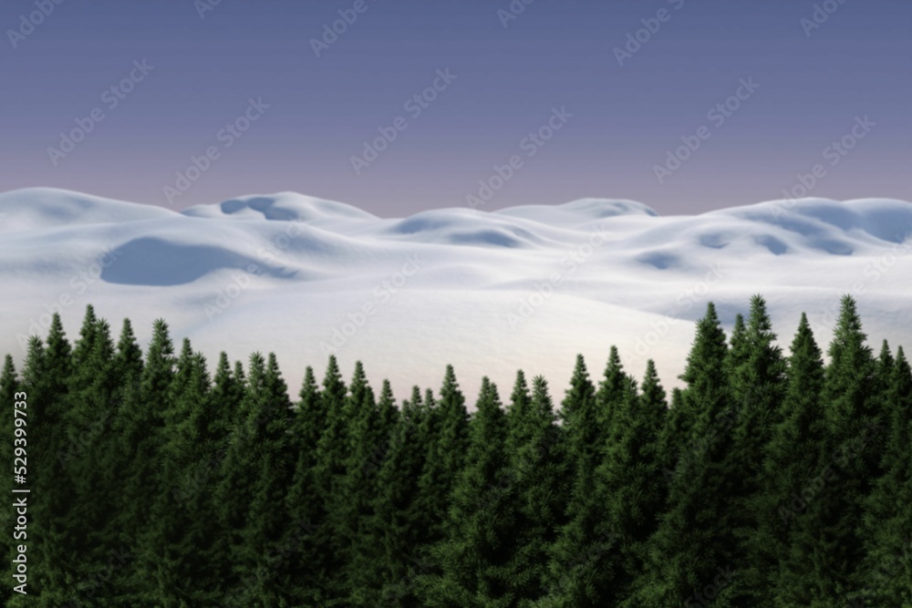 Fototapeta premium Fir tree forest in snowy land