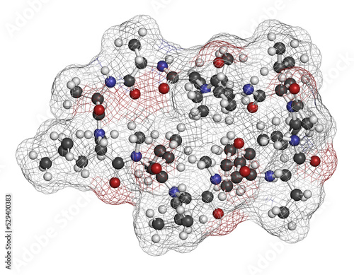 Voclosporin immunosuppressant drug molecule. 3D rendering. Atoms are represented as spheres with conventional color coding: hydrogen (white), carbon (grey), nitrogen (blue), oxygen (red).