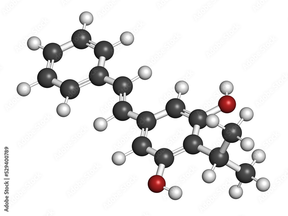 Benvitimod or tapinarof psoriasis drug molecule. 3D rendering. Atoms are represented as spheres with conventional color coding: hydrogen (white), carbon (grey), oxygen (red). Benvitimod or tapinarof psoriasis drug molecule. 3D rendering. Atoms are represented as spheres with conventional color coding: hydrogen (white), carbon (grey), oxygen (red).