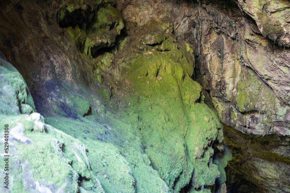 Cave walls overgrown with moss Cave walls overgrown with moss