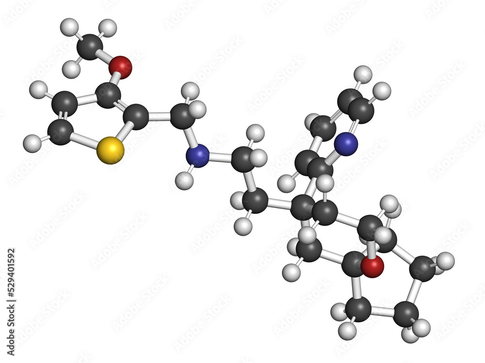 Oliceridine painkiller drug molecule. 3D rendering. Atoms are represented as spheres with conventional color coding: hydrogen (white), carbon (grey), nitrogen (blue), oxygen (red), sulfur (yellow).