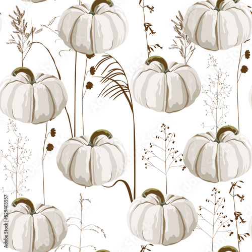 Autumn white pumpkin and brown herbs seamless pattern. White background.