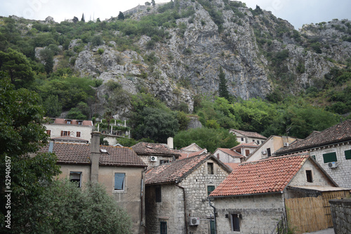 Wallpaper Mural roofs of houses and high mountains in Kotor, Montenegro Torontodigital.ca