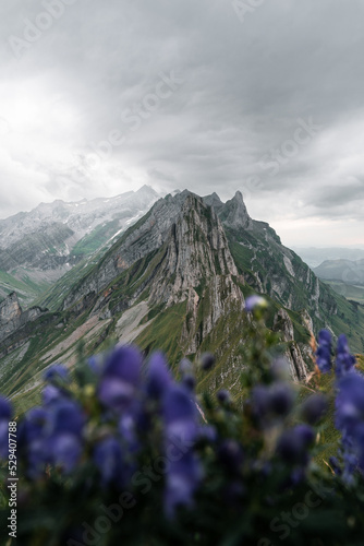Alpstein
