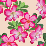Desert Rose (Adenium Obesum) seamless pattern