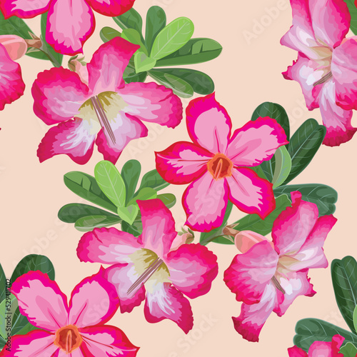 Desert Rose  Adenium Obesum  seamless pattern