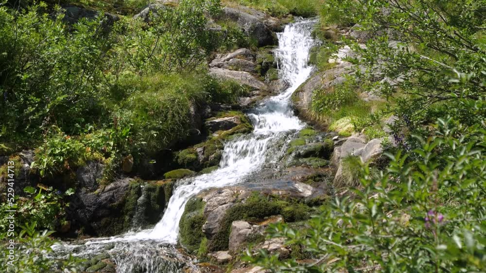 Labsky Waterfall Flowing Into The Slopes With Green Vegetation In Summer. - static Labsky Waterfall Flowing Into The Slopes With Green Vegetation In Summer. - static