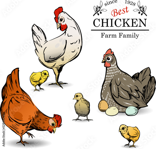beautiful layout of an advertising poster for a family farming business. Chickens, chickens, eggs and an inscription.