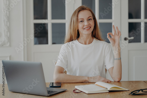 Woman gestures ok sitting at the desk in her apartment. Successful mid adult businesswoman.