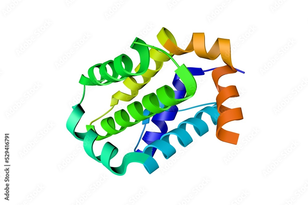 Crystal structure of B-cell Lymphoma 2 (BCL-2) in complex with the ...