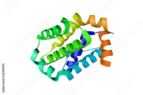 Crystal structure of B-cell Lymphoma 2  BCL-2  in complex with the inhibitor S55746. Rendering based on protein data bank entry 6gl8. Rainbow coloring from N to C. 3d illustration