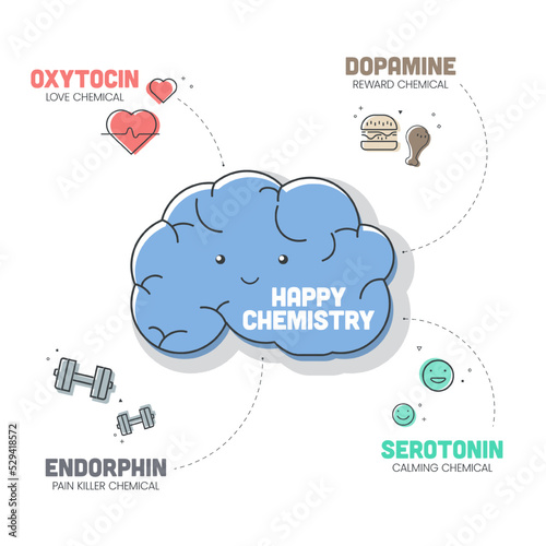 Happy Chemistry infographic has 4 types of Chemical hormones such as Oxytocin (Love), Serotonin (Calming), Dopamine (Reward) and Endorphin (Pain Killer). Happy chemicals concept. Presentatation slide.