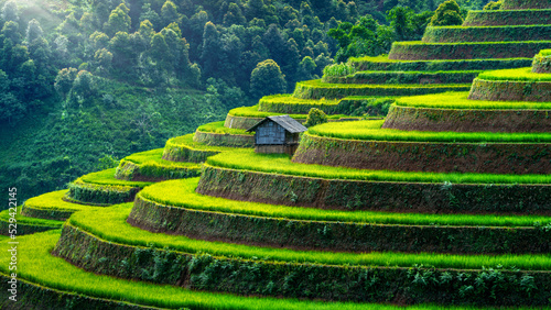 Rice terraces in Mu cang chai, Vietnam.