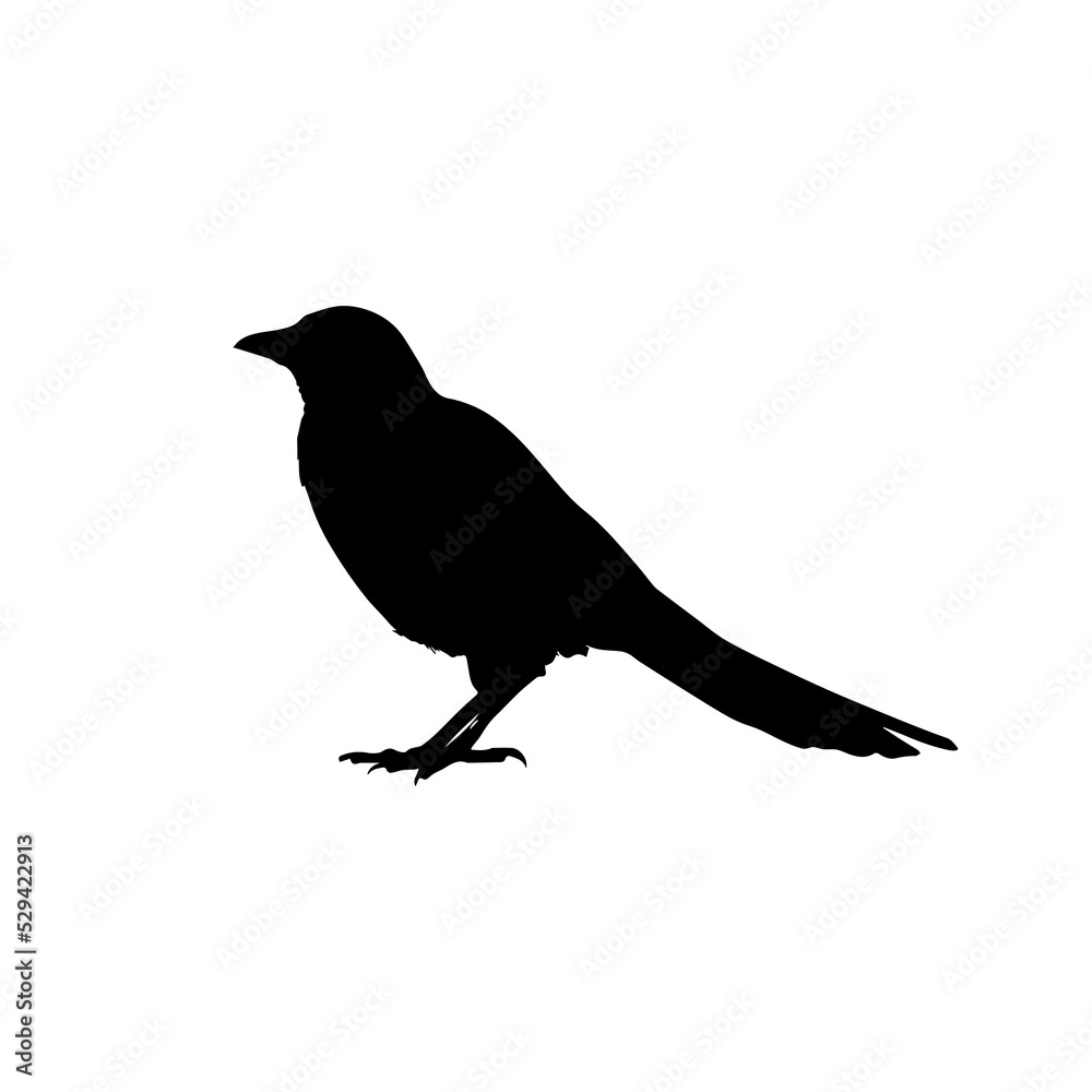 Bird in silhouette stock illustration Bird in silhouette stock illustration