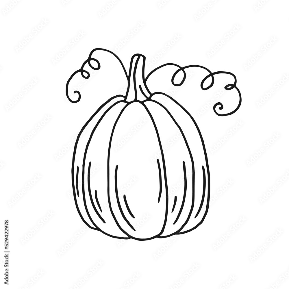 Pumpkin. Hand drawn vector illustration in doodle style. Black and white image of vegetables. Pumpkin. Hand drawn vector illustration in doodle style. Black and white image of vegetables.