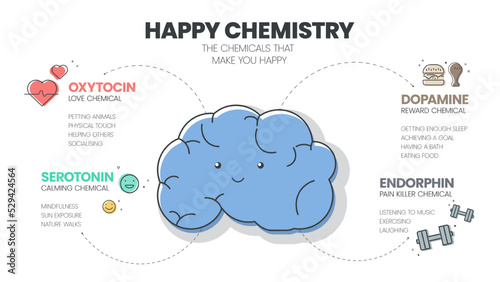 Happy Chemistry infographic has 4 types of Chemical hormones such as Oxytocin (Love), Serotonin (Calming), Dopamine (Reward) and Endorphin (Pain Killer). Happy chemicals concept. Presentatation slide. photo