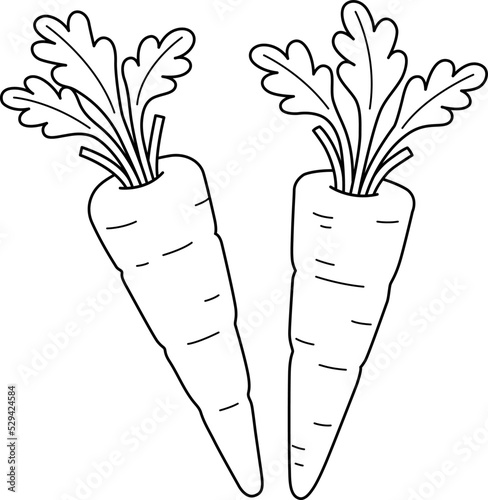 Carrots Vegetable Isolated Coloring Page for Kids