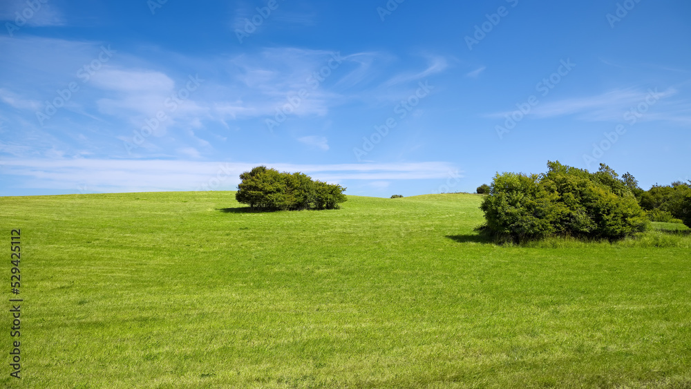 green meadow with a blue sky green meadow with a blue sky