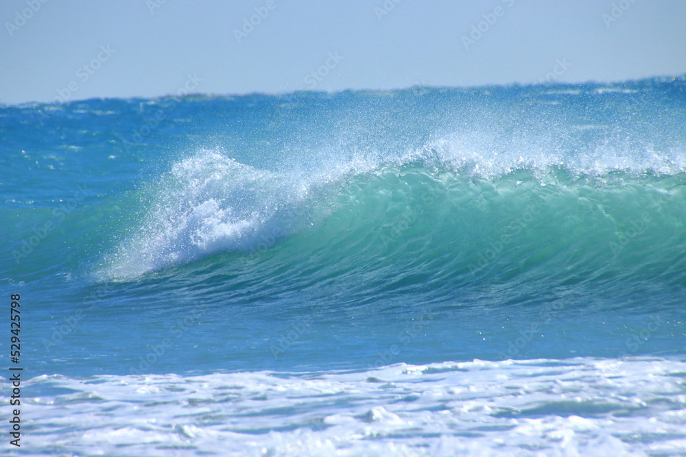 Fototapeta premium ビッグウェーブ