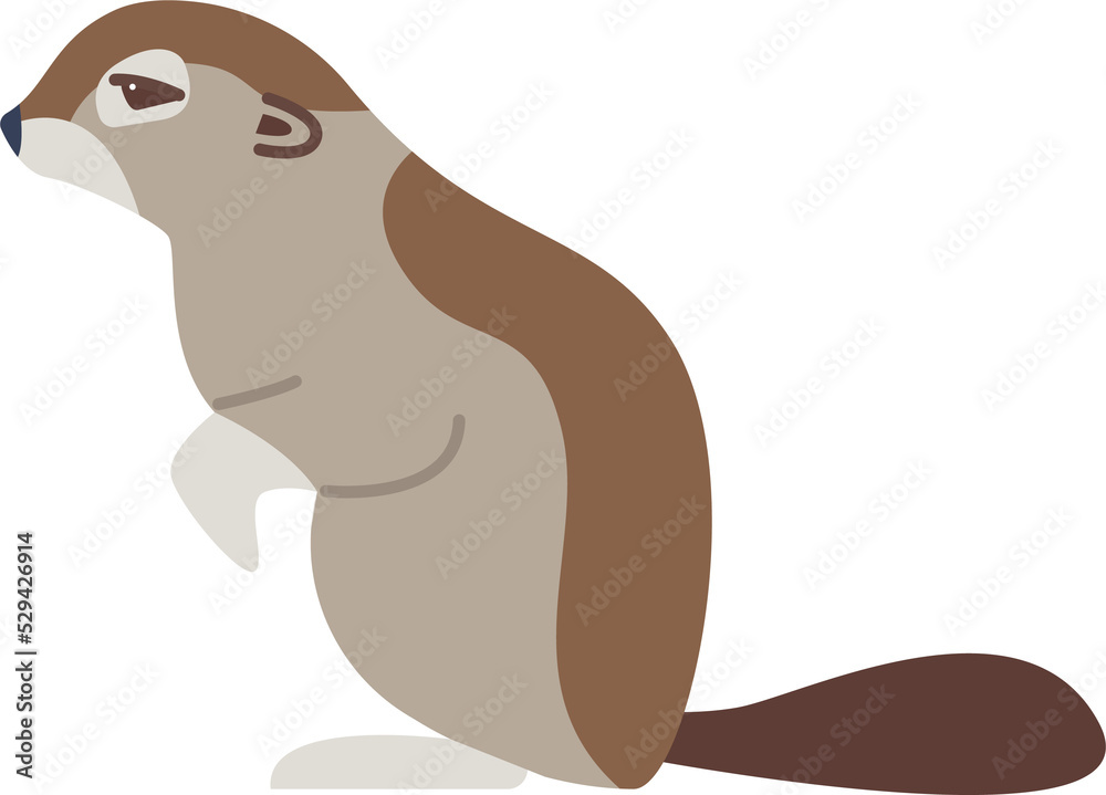 Gopher Arctic Wildlife Animal Gopher Arctic Wildlife Animal