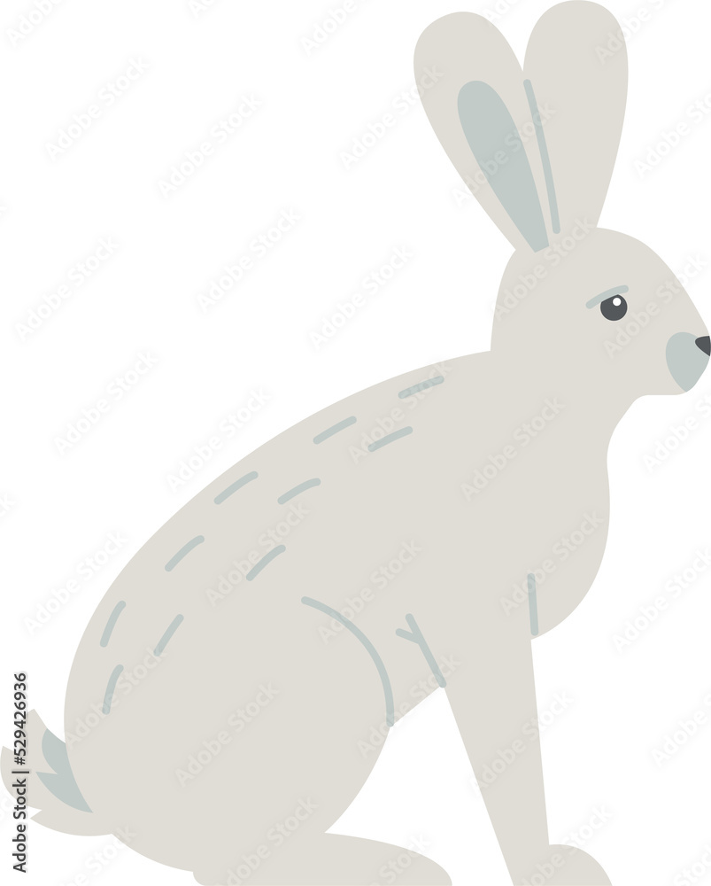 Rabbit Arctic Wildlife Animal Rabbit Arctic Wildlife Animal