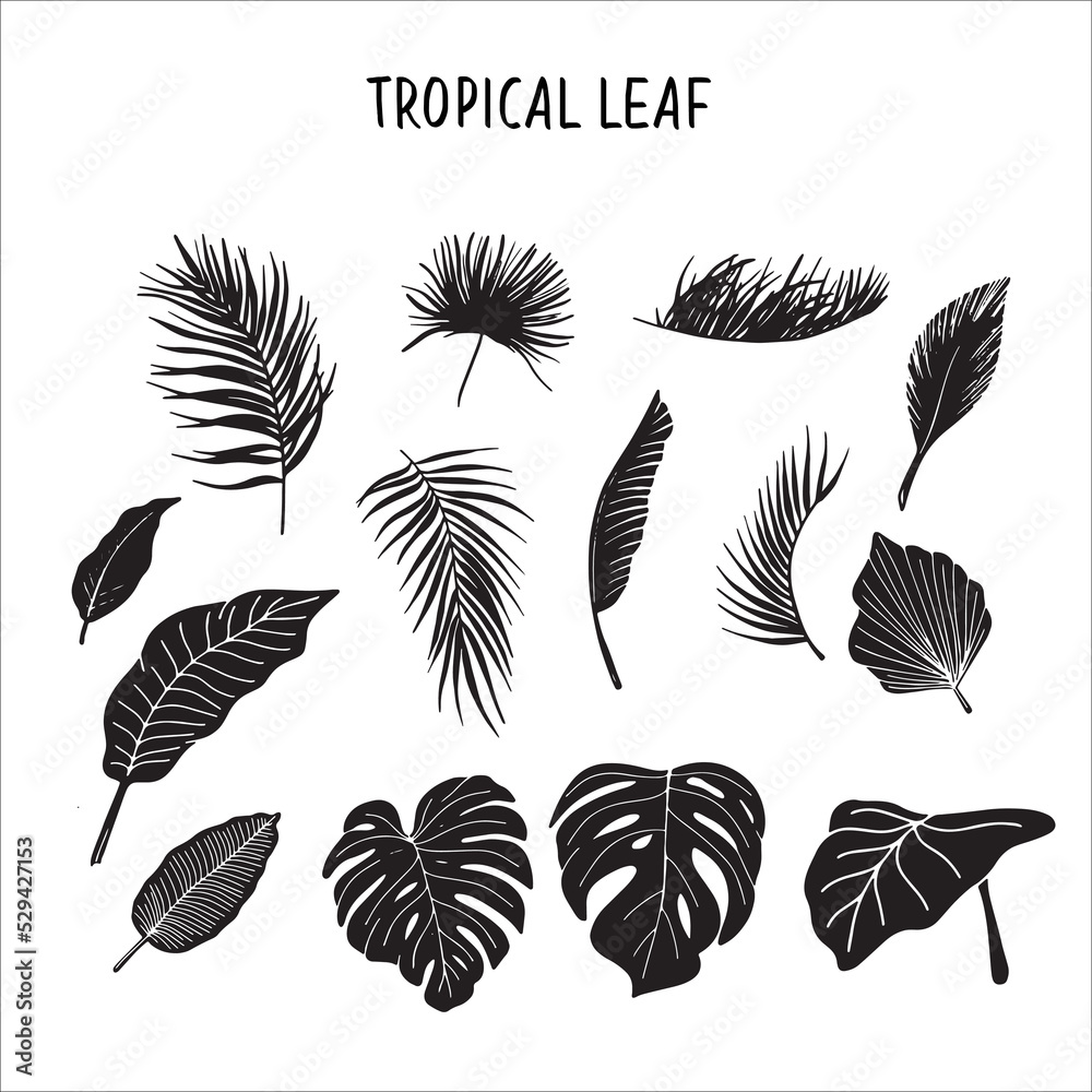 set of leaves element vector