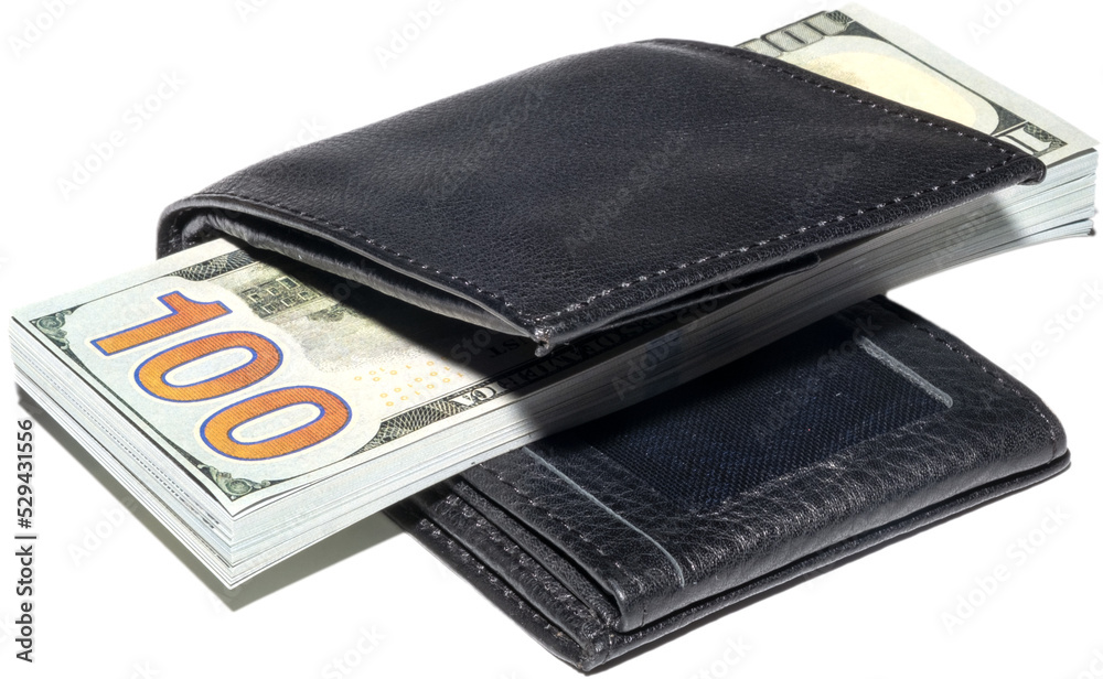 wallet with money wallet with money