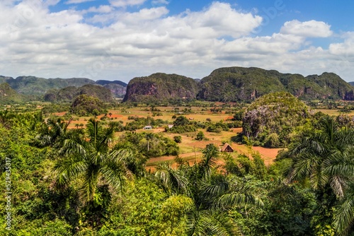 Canvas-taulu Vinales Valley in Pinar del Rio with tropical trees and mountains on a sunny day