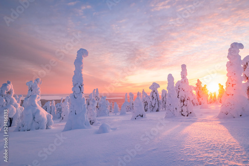 Fototapete sunset in winter