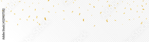 Confetti on a transparent background. Falling shiny golden confetti. Bright golden festive tinsel. Festive design elements for web banner, poster, flyer, invitation