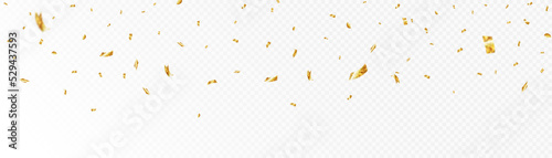 Confetti on a transparent background. Falling shiny golden confetti. Bright golden festive tinsel. Festive design elements for web banner, poster, flyer, invitation