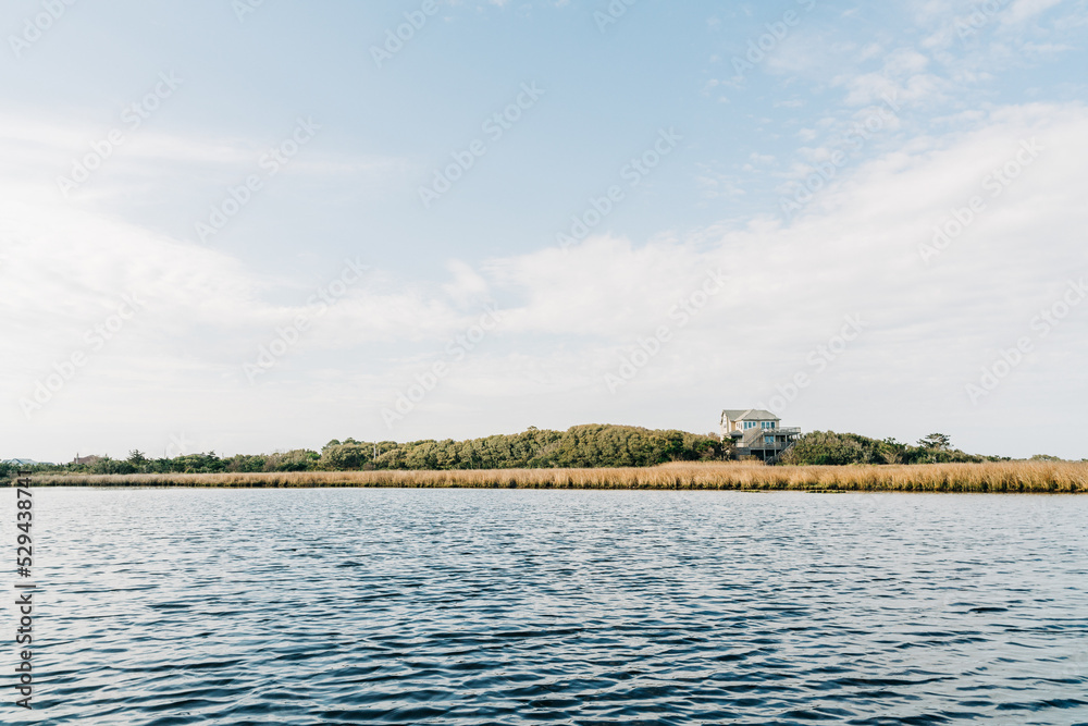 lake in the park